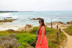 Mansi Shah monterey bay cali Yash Doshi Photography